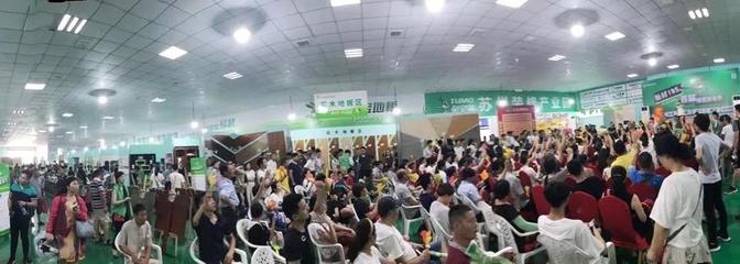 兔寶寶環(huán)保行7月29日蘇州站 綠色裝飾，感恩回饋